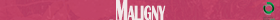 Épaviste gratuit Maligny