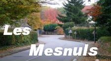 Logo Ville de Les Mesnuls