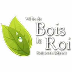 Logo Ville de Bois-le-Roi