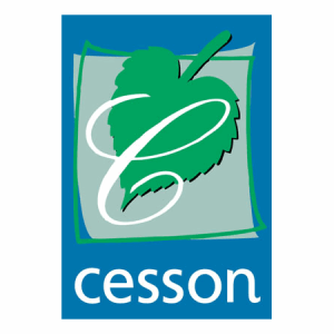 Logo Ville de Cesson